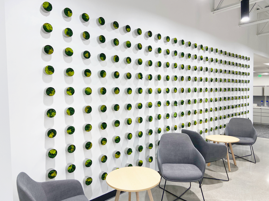 Custom Moss Wall Art near Indianapolis, Indiana