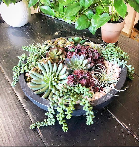 Artificial Succulent Planter