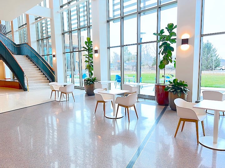 Tall Fiddle Leaf Fig Trees and Chinese Evergreens in planters in the lobby of the Carmel Clay Public Library