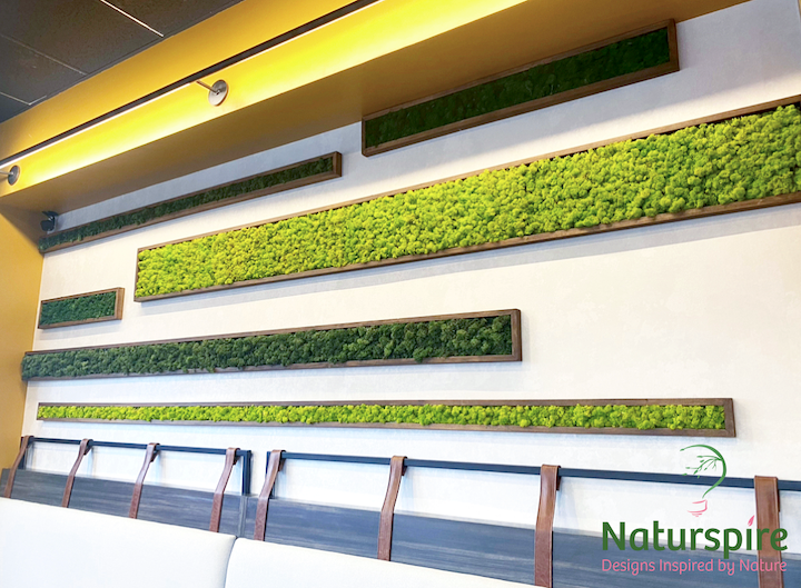Custom Moss Wall Art near Indianapolis, Indiana at Command Coffee