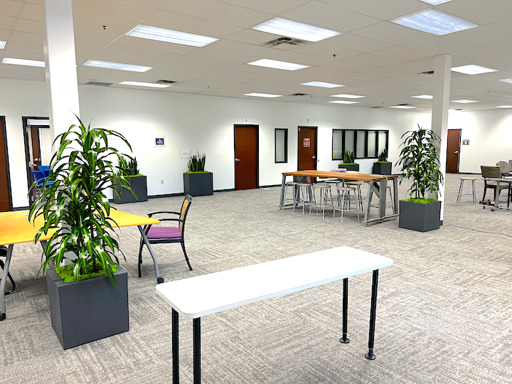 Dracaena and Snake Plants at Apprentice University
