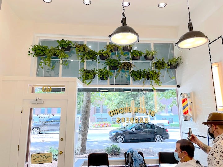 Hanging Wall Planters at Black Orchid Barbers
