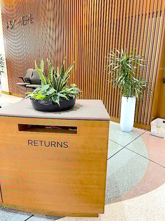 Tabletop planter and floor planter in the lobby of the Carmel Clay Public Library