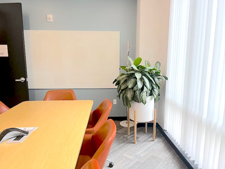 Chinese Evergreen in conference room at Carr Workplaces