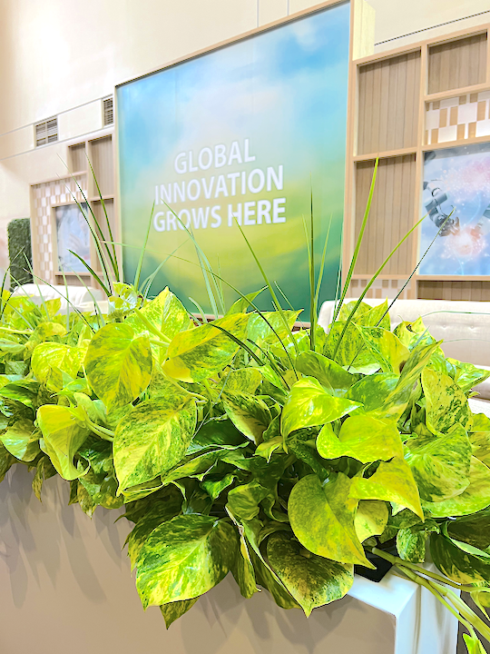Pothos at the Global Economic Summit