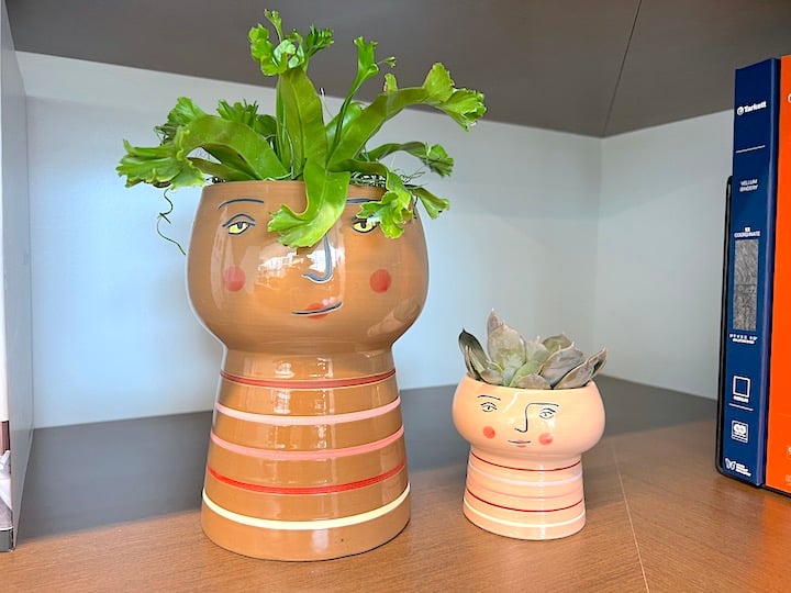Ferns in planters with faces