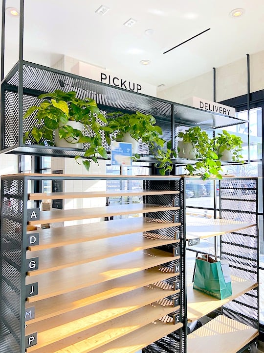 Pothos on Shelves at Sweetgreen