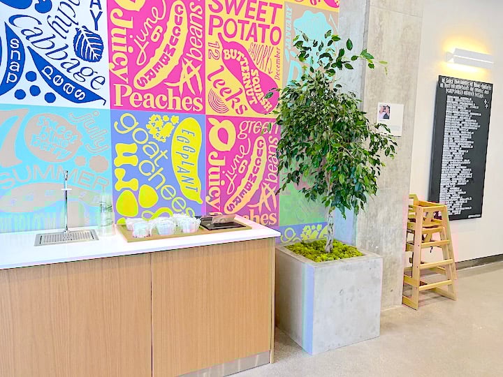 Ficus Benjamina Tree at Sweetgreen