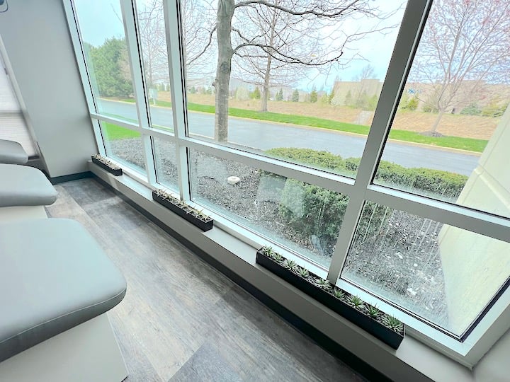 Succulents on windowsill in spa room