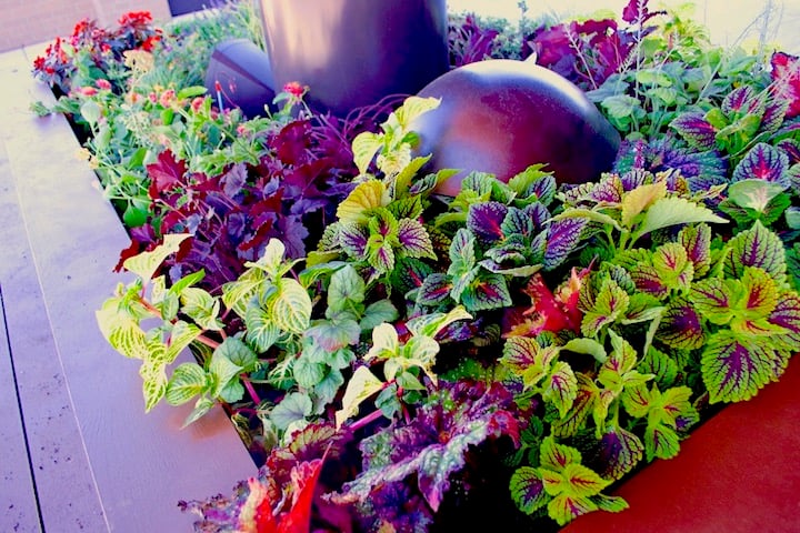 Outdoor planter at 3Up