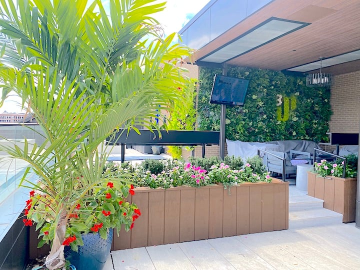 Plantscape at 3Up Rooftop Bar