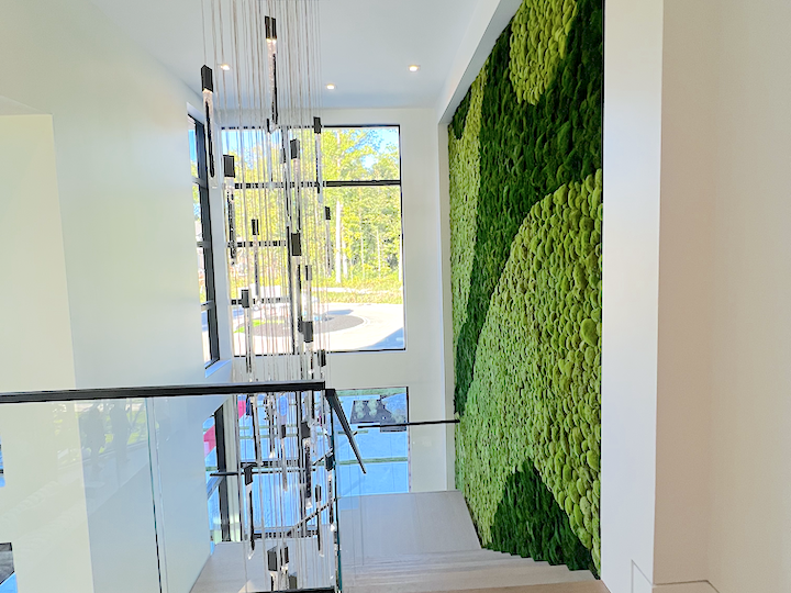 Top of the 40 ft moss wall inside the Indianapolis Monthly Dream Home in Holliday Farms