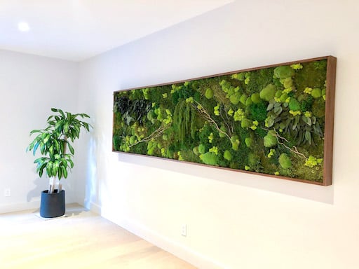 Moss Wall Art hung in residential home Custom Moss Art near Plainfield, Indiana