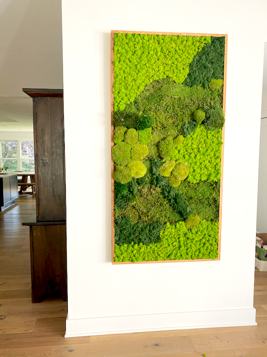 Moss Wall Art with combination of different mosses and colored moss.