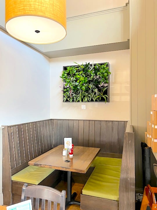 Living Wall in booth at Rosie's Cafe