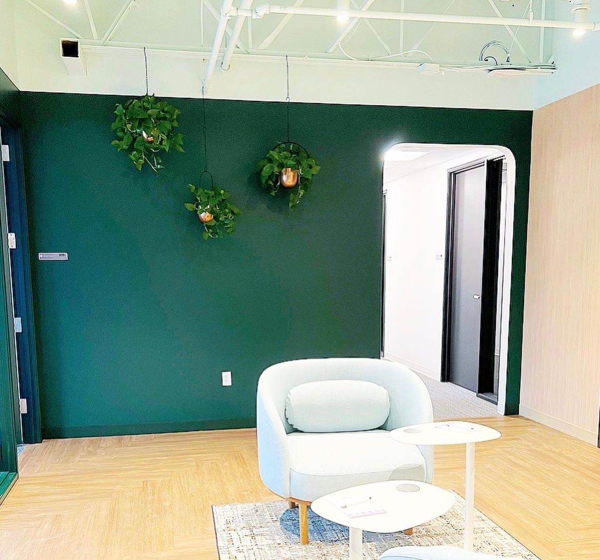 Pothos in hanging planters in office space at Carr Parkwood