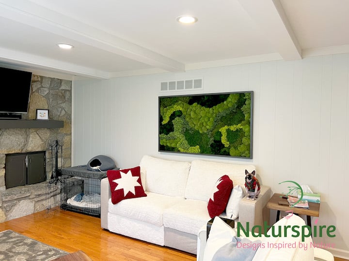 Custom Moss Wall with Spiral Art hung up in resident's home near Carmel, Indiana