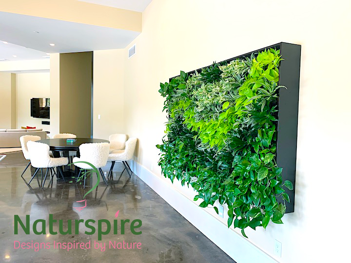 Live Plant Wall hung up in resident's basement.
