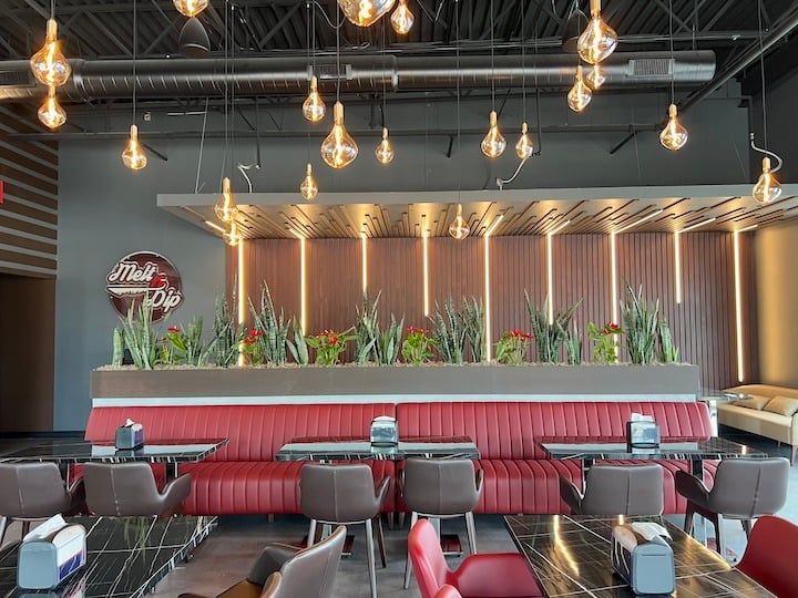 Snake Plant in planter on top of booth at Melt N Dip in Fishers, IN.