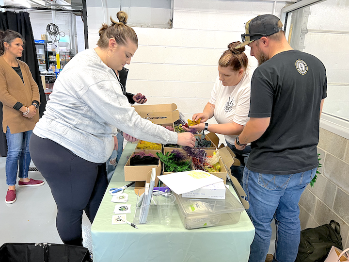 Metazoa DIY Moss Workshop