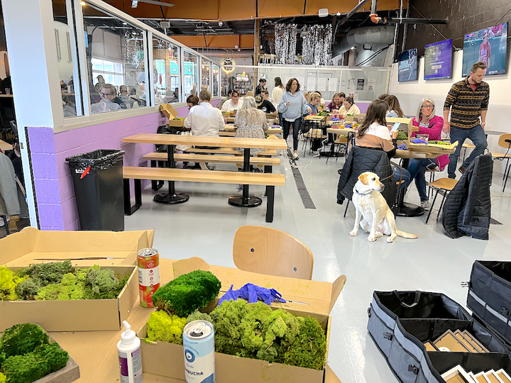 Metazoa DIY Moss Workshop