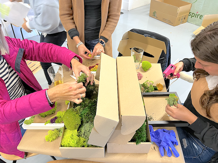 Metazoa DIY Moss Workshop
