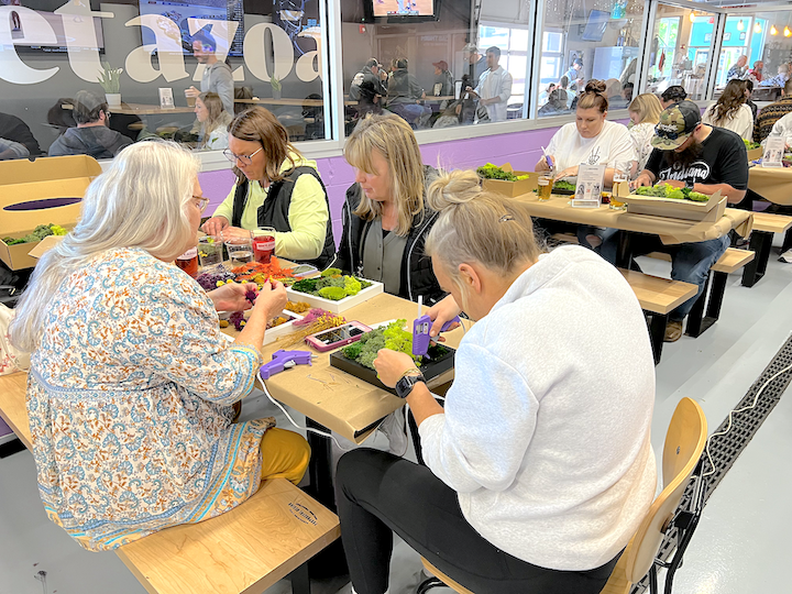 Metazoa DIY Moss Workshop