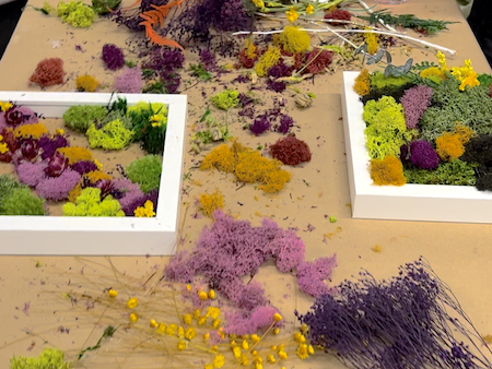 Metazoa DIY Moss Workshop