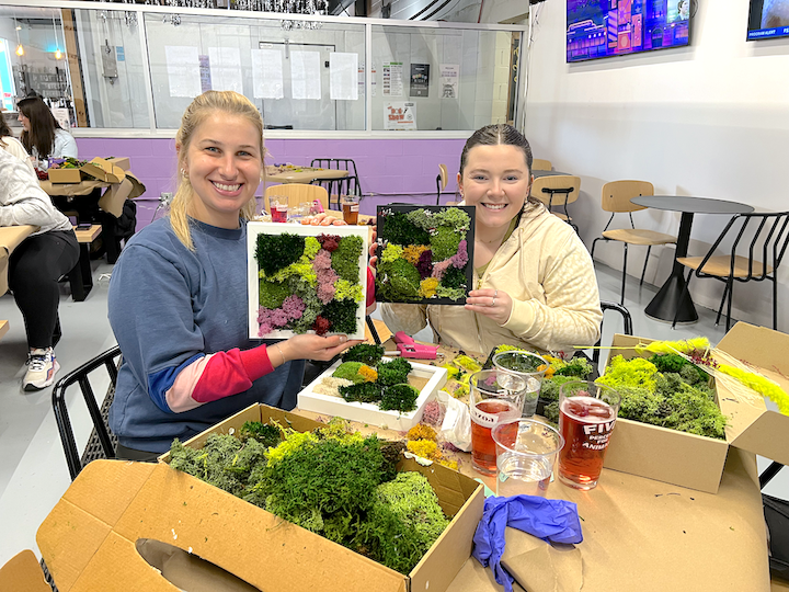 Metazoa DIY Moss Workshop