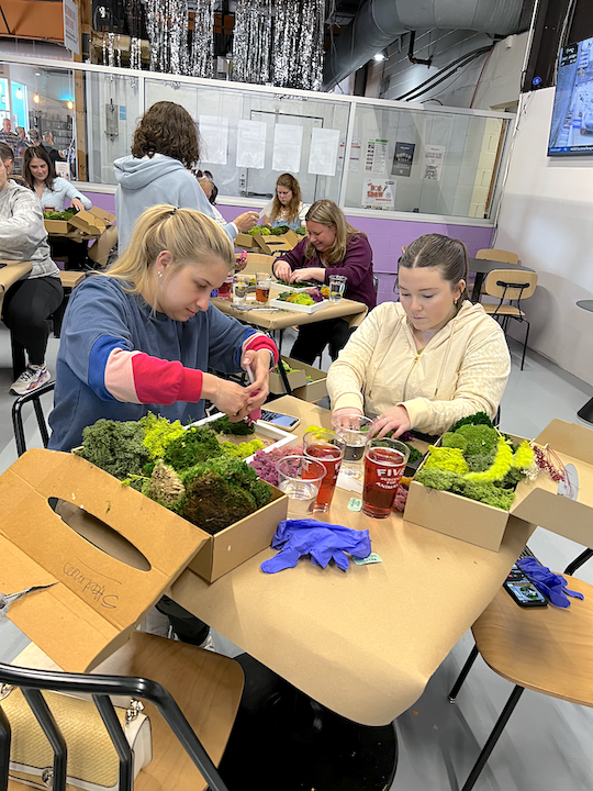 Metazoa DIY Moss Workshop