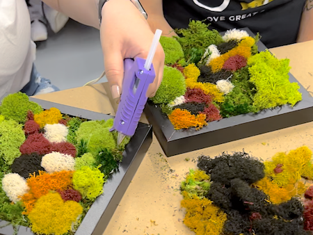 Metazoa DIY Moss Workshop
