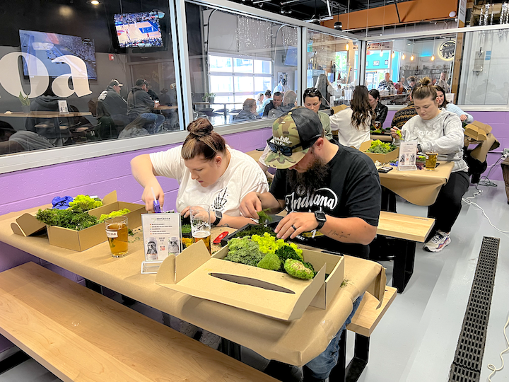 Metazoa DIY Moss Workshop