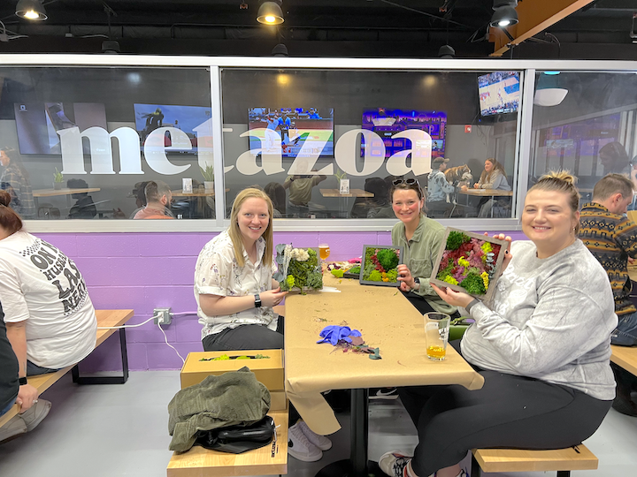 Metazoa DIY Moss Workshop