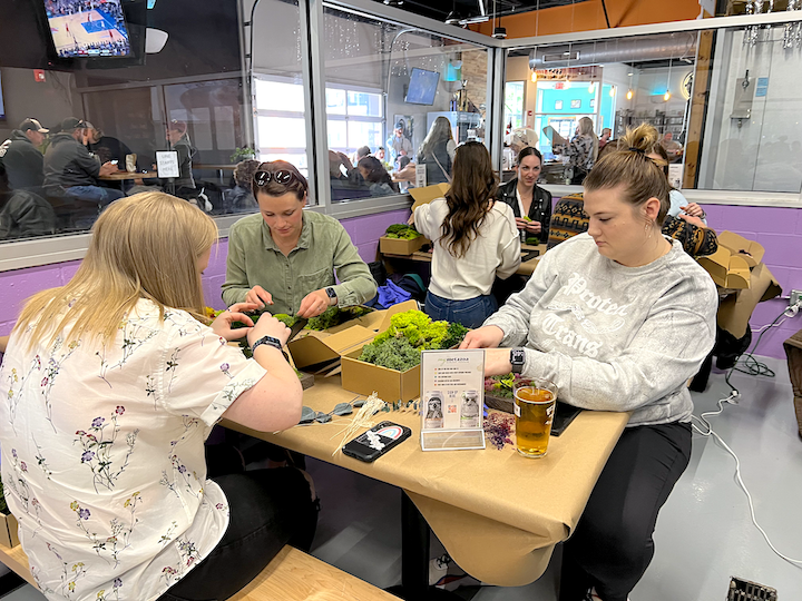 Metazoa DIY Moss Workshop