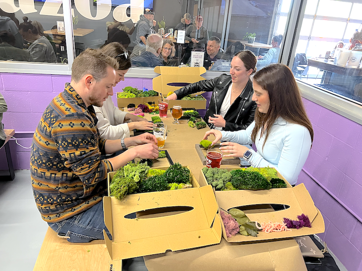 Metazoa DIY Moss Workshop