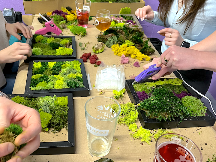 Metazoa DIY Moss Workshop