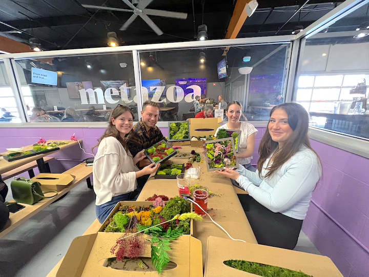 Metazoa DIY Moss Workshop