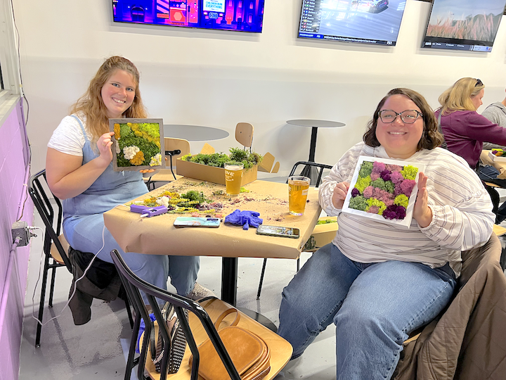 Metazoa DIY Moss Workshop