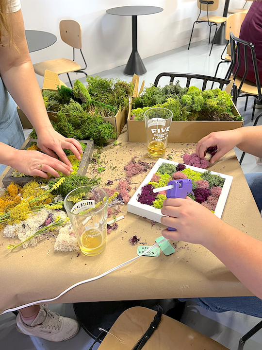 Metazoa DIY Moss Workshop