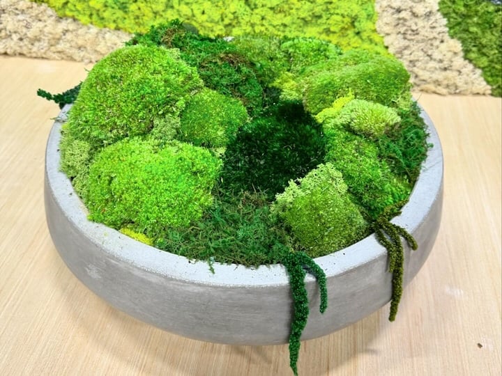 Moss Bowl near Holliday Farms Zionsville, Indiana
