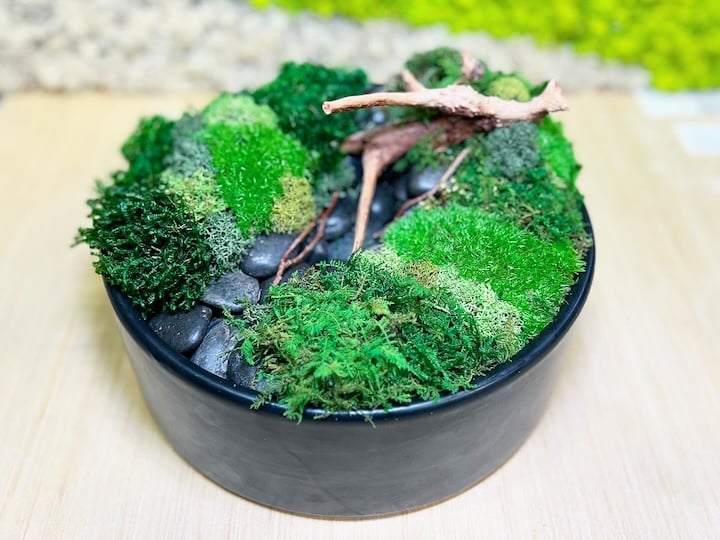 Centerpiece with Moss