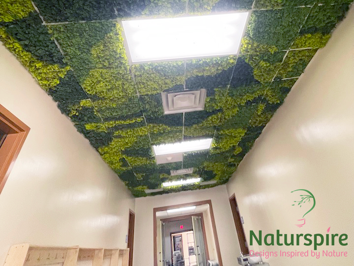 Moss Ceiling at the Girl Scouts of America in Indianapolis, Indiana