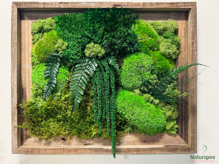 Preserved Moss Wall Art with Preserved Ferns near the Indiana Design Center in Carmel, Indiana