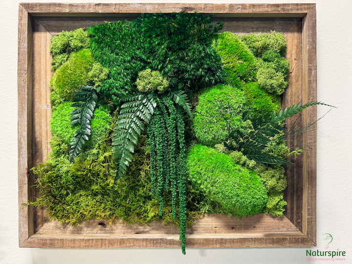 Preserved Moss Wall Art with Preserved Ferns