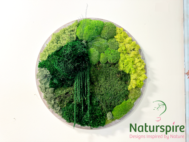 Preserved Moss Wall Art - Circle near Fishers, Indiana
