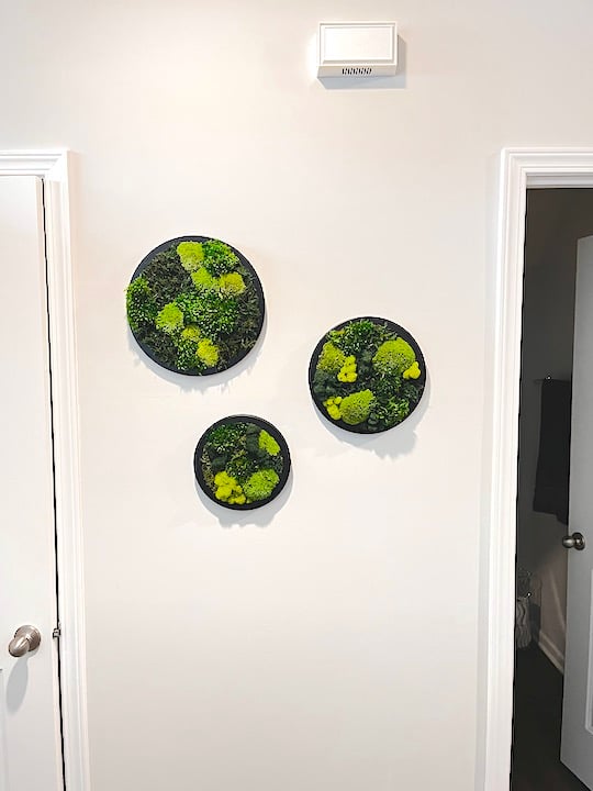 Moss wall art in circle black frame in three different sizes Circle Art near Carmel, Indiana
