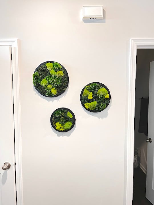 Moss wall art in circle black frame in three different sizes