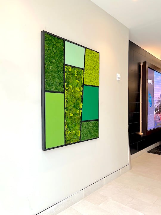NOVO Development Custom Moss Art near Carmel, Indiana