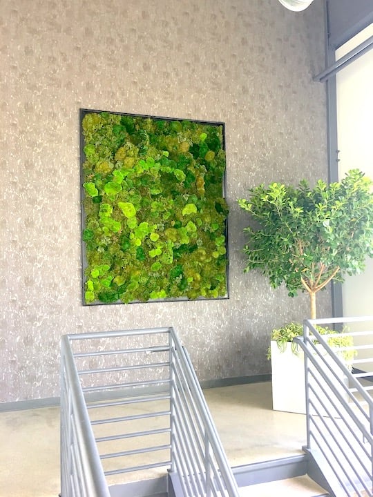 NewPro Containers - Moss Wall Art