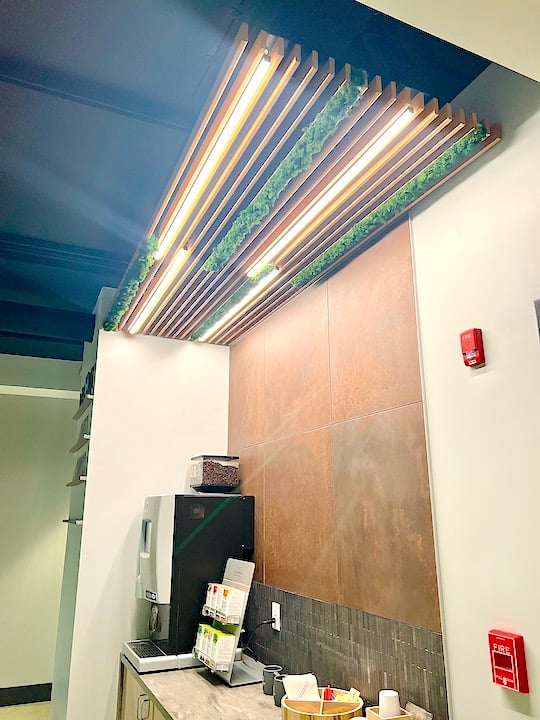Gorman & Bunch Orthodontist Moss Wall Ceiling Tiles near Noblesville, Indiana